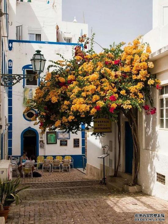 葡萄牙的传奇页游开服阳光不在乎输赢