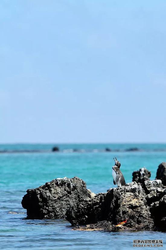 �������������ĵ�����������������˹�������������е�����