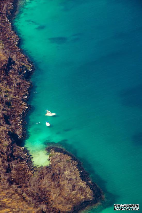 ����������е� ��Ӣ�����Ҷ����ղ���