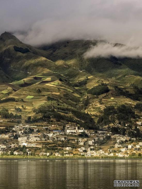 ����������е� ��Ӣ�����Ҷ����ղ���