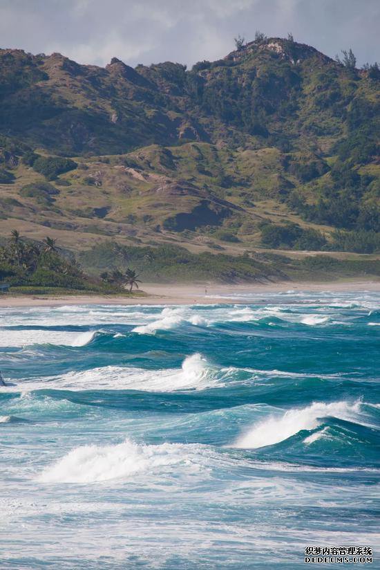 ������ϣ�ͺ�̲��Ȼӵ���ʺϳ��˵Ļ���