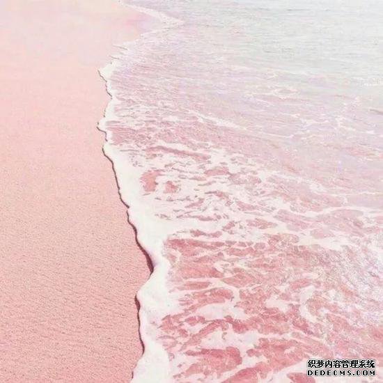 ����ɳ̲֮���Գ��ַۺ�ɫ������Ϊɳ̲�д��д�������ˮ�����ˢ�ķۺ�ɺ��