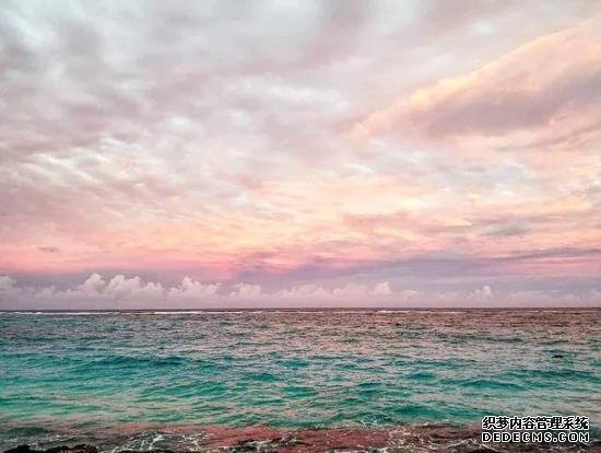 ����������е� ��Ӣ�����Ҷ����ղ���