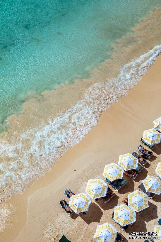 ����������е� ��Ӣ�����Ҷ����ղ���