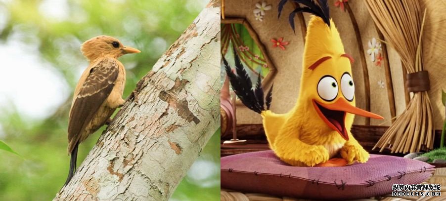 ����ŭ��С�񡷴��б���ҳ�����·����գ���һ����Щ����ʲô��