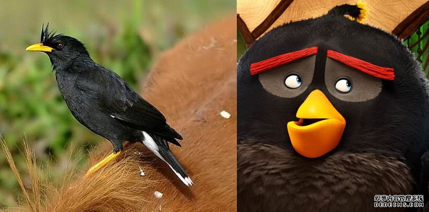 ����ŭ��С�񡷴��б���ҳ�����·����գ���һ����Щ����ʲô��