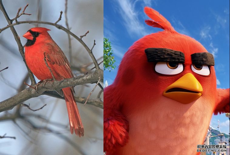 ����ŭ��С�񡷴��б���ҳ�����·����գ���һ����Щ����ʲô��