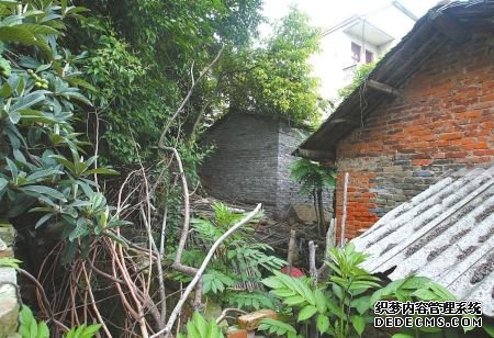 ��������2��Ů ���ӱ���4����(��ͼ)